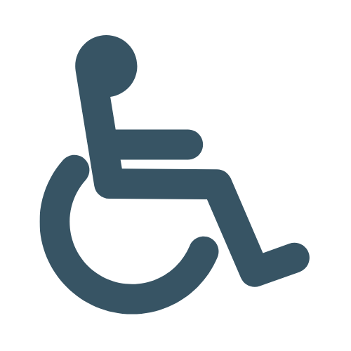 Vehículo personas de movilidad reducida PMR - Recapol Carrocerías (2)