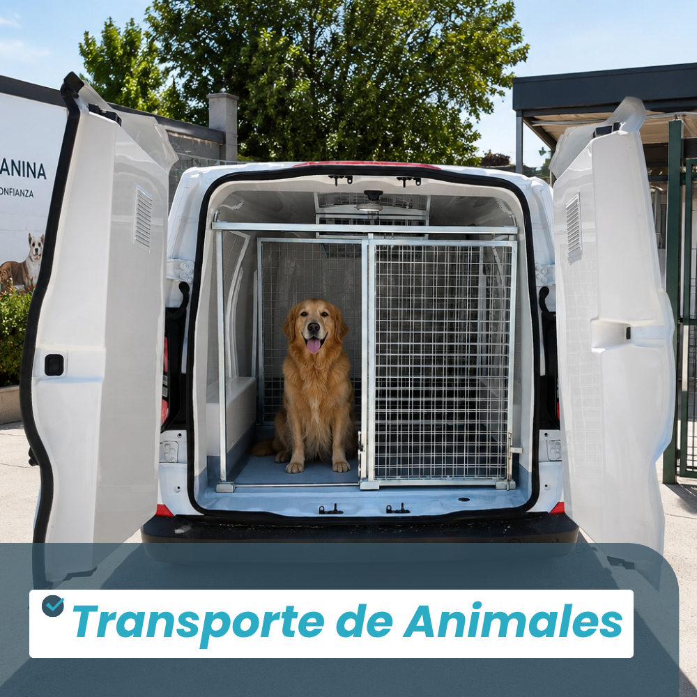 Transporte de Animales - Recapol Carrocerías