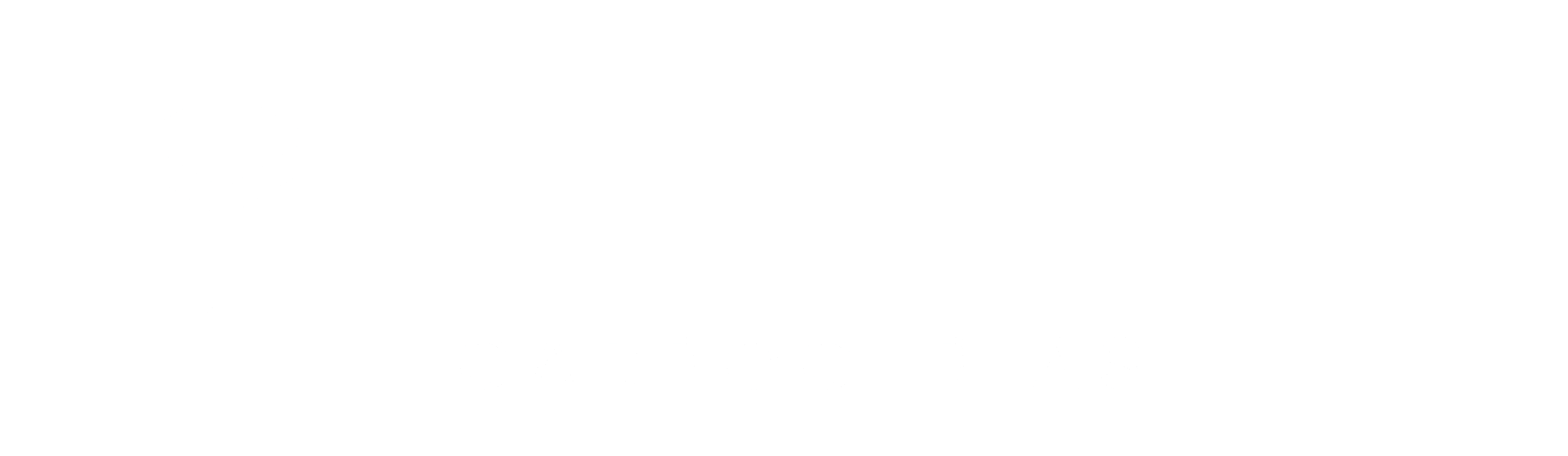 Recapol Carrocerias blanco